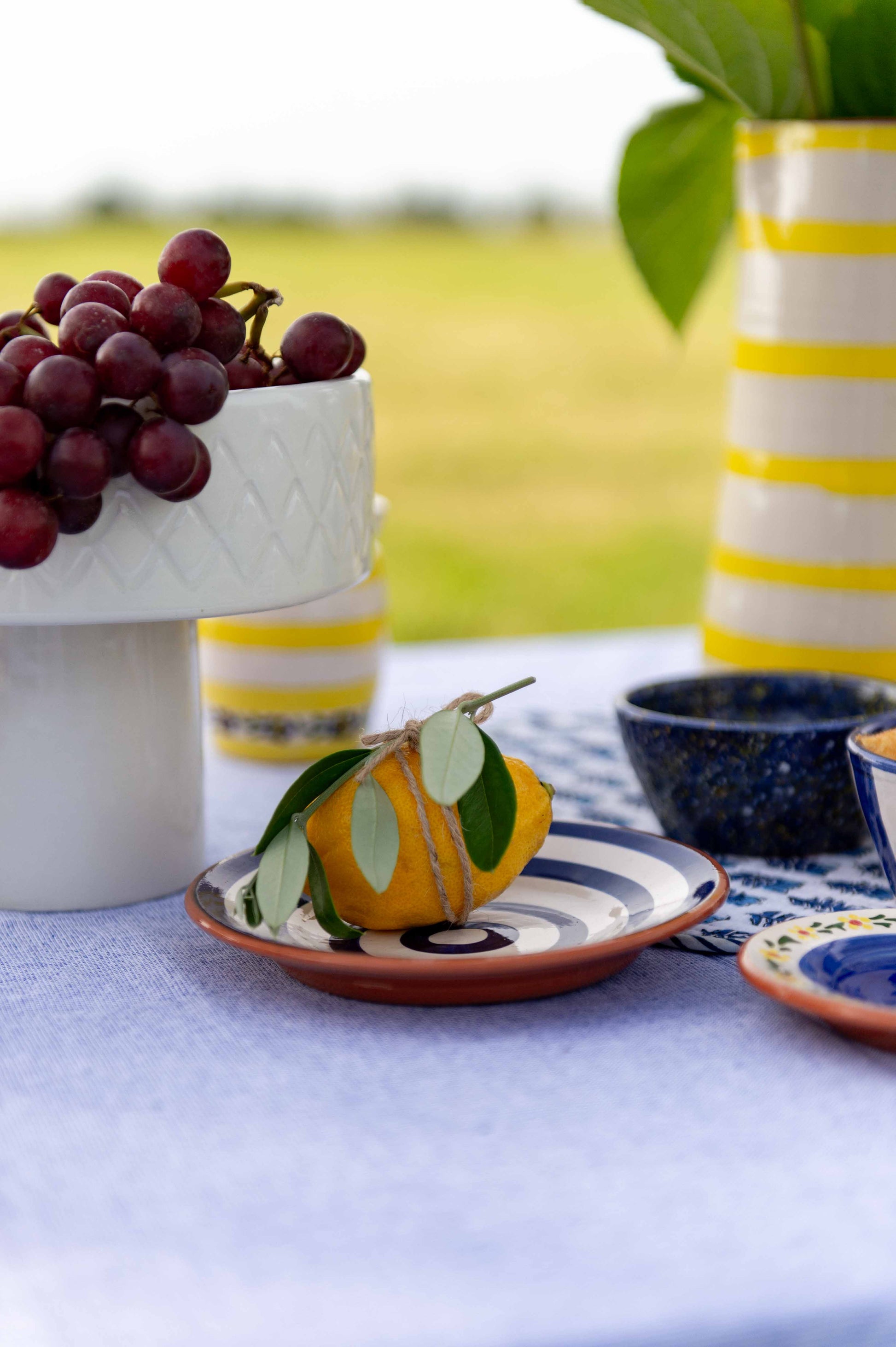 Sus.Studio gekleurd keramiek servies blauw geel wit streep spetter59